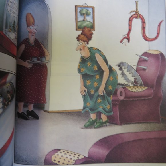 (2) Classic Old School Books - Far Side Gallery 4 & Calvin & Hobbes - Picture 5 of 8